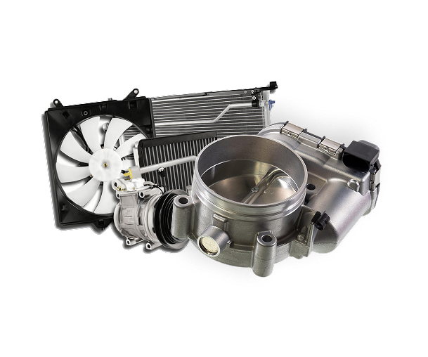 Free Click & Collect –  Same day! 