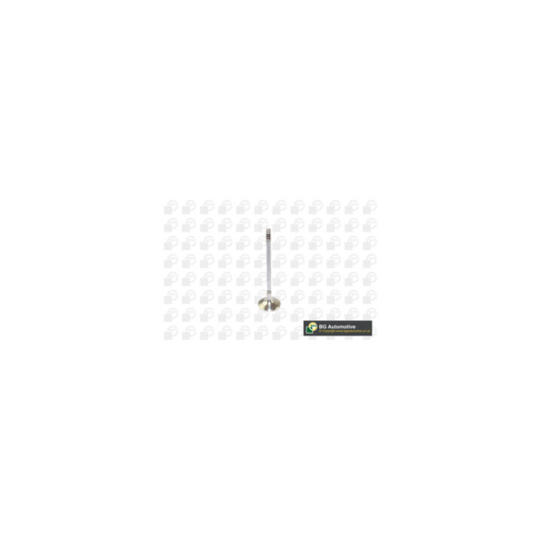 Inlet Valve image