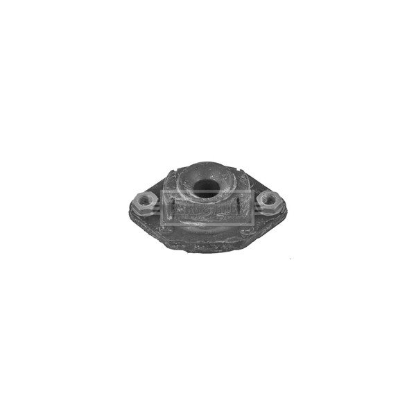 Strut Mount image