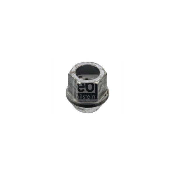 Wheel Bolt/Nut image