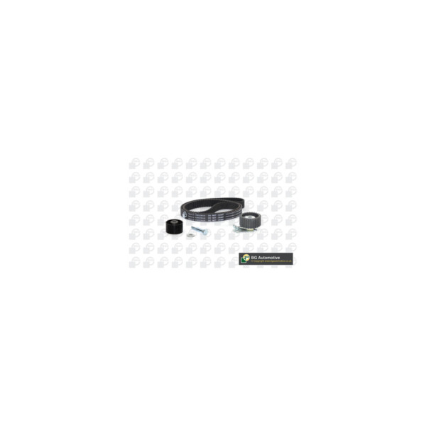 Timing Belt Kit image