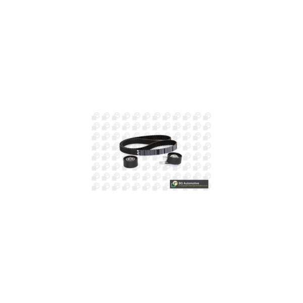 Timing Belt Kit image