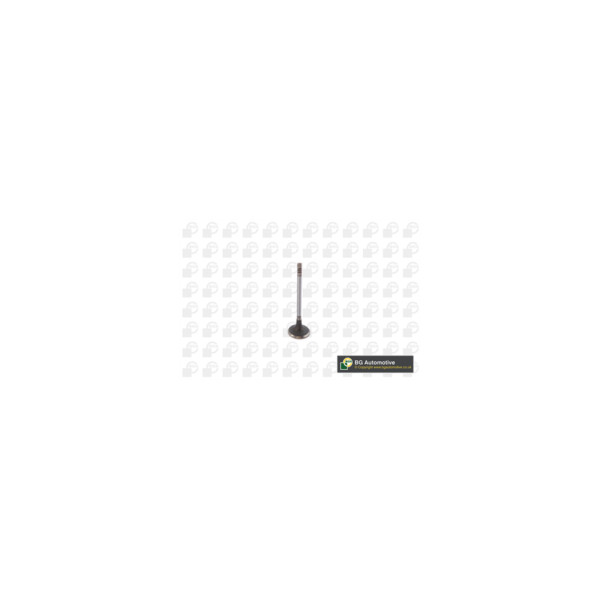 Inlet Valve image