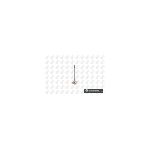 Exhaust Valve image