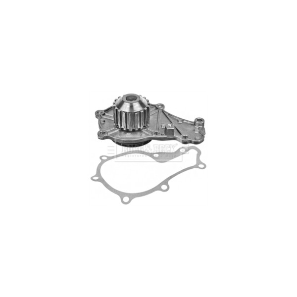 Water Pump image